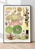 Modern Black Framed Great Barrier Reef Anemones Vintage Illustrations Wall Art Prints